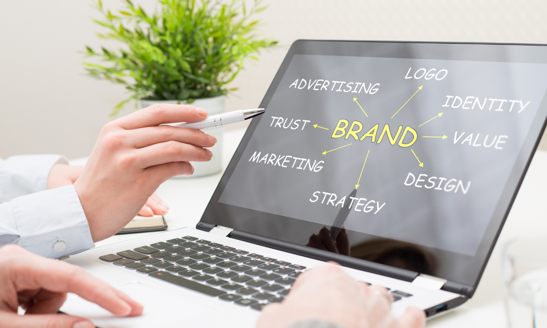 Brand identity design project